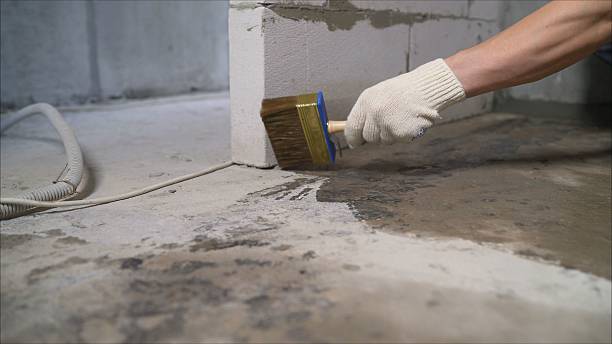 SJ Waterproofing Pros Sump Pump Installation coverage map for Remus, MI and surrounding area